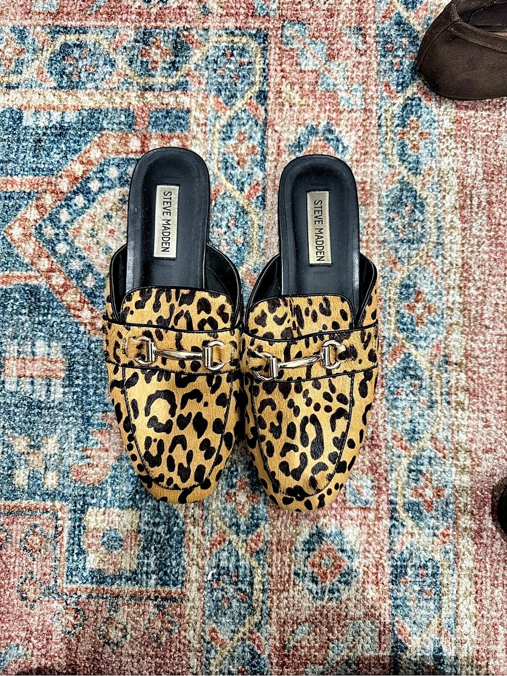 Steve Madden Rylie Leopard Horsebit Mule Leopard Print Mules